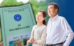 Cách tra cứu nhanh tuổi và mốc thời gian nghỉ hưu