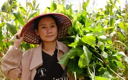 Tiếp sức đến trường 2025