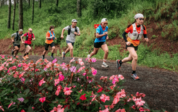 Gần 1.000 VĐV tham gia Vietnam Highlands Trail 2025 tại Lâm Đồng