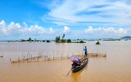 Nước nổi đỏ quạch các cánh đồng giáp biên ở An Giang