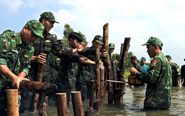 Bộ đội Tây Ninh giúp dân gia cố đê bao bị thủng do lũ ở Đồng Tháp Mười