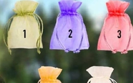 Quiz: Chiếc túi tiết lộ giấc mơ của bạn có thể thành hiện thực