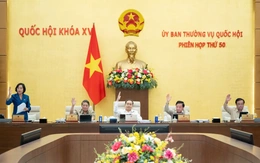 Ủy ban Thường vụ Quốc hội đã 'chốt' số phó chủ tịch HĐND cấp tỉnh sau sáp nhập