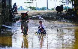 Chuỗi cung ứng trước nỗi lo thiên tai