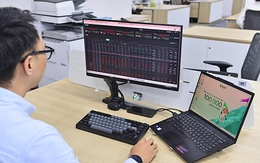 Lý do chứng khoán giảm kỷ lục