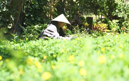 Không cùng huyết thống, nhưng cùng chung nhịp đập của yêu thương