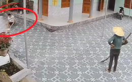 Mẹ chán chả buồn nói với cậu con trai hậu đậu