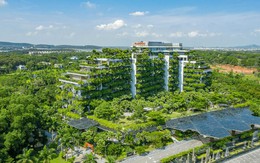 Rừng trên mái: kiến trúc độc bản Flamingo Maison 108