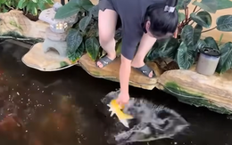 Chuyện gì cũng đến tay chị em