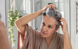 Tóc bạc sớm là dấu hiệu cơ thể đang tìm cách chống ung thư?