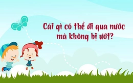 Cái gì có thể đi qua nước mà không bị ướt?