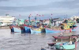 7 tàu cá dính chùm bị đứt neo trôi dạt ở cửa biển Phan Thiết
