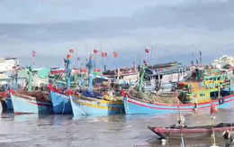 Đưa vào bờ an toàn 7 tàu cá bị mưa lũ cuốn trôi tại cửa biển Phan Thiết