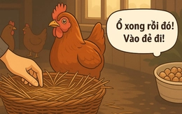 Thành ngữ châm biếm những kẻ chỉ biết ăn sẵn này là gì?