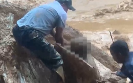 Cứu người lái xe múc bị bùn đất vùi lấp trong lúc dọn dẹp hiện trường sạt lở