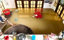 Rét mướt giữa mùa mưa lũ, làm sao bảo vệ sức khỏe?