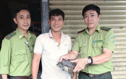 Rùa cổ sọc 'đi lạc' ở xã Bà Điểm, người bán trái cây bắt được giao Kiểm lâm TP.HCM