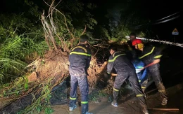 Thông xe đèo Ngoạn Mục nối Khánh Hòa - Lâm Đồng, túc trực 24/24 phòng sạt lở trở lại