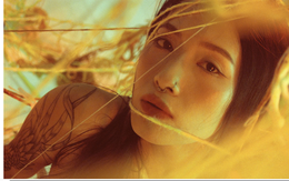 Triệu mũi kim vẽ những bức tranh độc đáo của Thảo Nguyên Phương