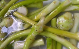 Canh ngó môn, món canh trong miền ký ức