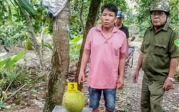 Trộm 2 trái mít trị giá 387.000 đồng bị khởi tố