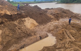 Gia Lai: Xác minh nhóm người đào cây gỗ 'khủng' cạnh sông Ayun