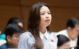 Đại biểu: Áp lực của giáo viên không phải đồng lương mà là 'nỗi sợ hãi' bạo lực học đường?