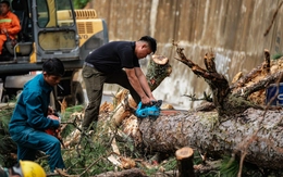 Đá lăn, đất lở, đường nứt, quả đồi nứt toác trên đèo D’Ran dẫn vào Đà Lạt