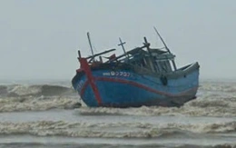 Lũ sông Trà Bồng lên cao, 4 tàu cá bị cuốn trôi ra cửa biển Sa Cần