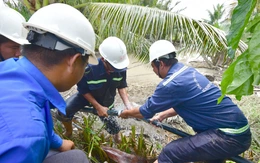 Người dân doi Mỹ Khánh, Cần Giờ thoát cảnh cúp nước không biết bể ống ở đâu