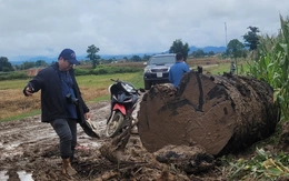 Giao công an làm rõ nhóm người lạ đưa xe múc đào bờ sông Ayun để lấy gỗ 'khủng'