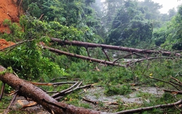 Lại sạt lở quốc lộ 28, đường vào Đà Lạt hết ách chỗ này lại tắc chỗ kia