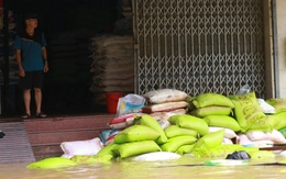 Hộ kinh doanh ở Huế thẫn thờ nhìn hàng hóa thiệt hại sau lũ