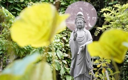 Tiềm năng từ các tour du lịch tâm linh tại TP.HCM