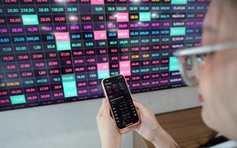 Một công ty chứng khoán bị kiểm soát đặc biệt 4 tháng, phải ngừng cho vay margin