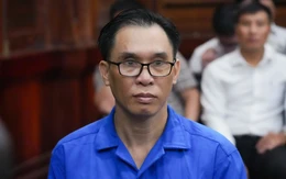 Bị tuyên phạt 13 năm tù, ông Đinh Trường Chinh xin giảm nhẹ