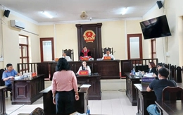 Xét xử vụ nữ ‘đại gia thủy sản’ Cà Mau tội hủy hoại tài sản