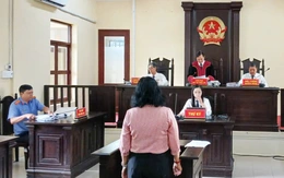 Xét xử vụ nữ ‘đại gia thủy sản’ Cà Mau tội hủy hoại tài sản