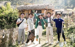 Show Gia đình Haha gây chú ý, Yeah1 vẫn báo lãi thấp nhất trong hai năm