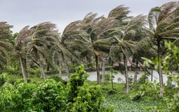 Khả năng có áp thấp hoặc bão vào Biển Đông tuần đầu tháng 11