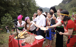 Livestream bán được hơn 300 tấn sâm đất cho dân tộc vùng cao, thiểu số