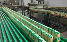 Chủ thương hiệu sữa KUN báo lỗ cả trăm tỉ đồng