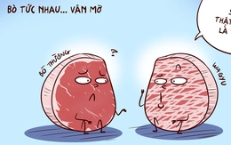 Tâm sự thịt bò - thịt trâu, nghe mà tức
