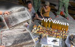 Phát hiện hơn 7 tấn vảy tê tê, da trăn, xương động vật quý hiếm tuồn về Việt Nam