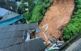 Bão số 11 (Matmo)