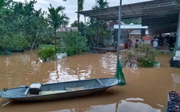 Bão số 11 (Matmo)