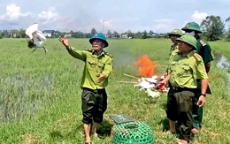 10 con cò trắng được giải cứu giữa 'thiên la địa võng' các loại bẫy chim trời