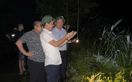 Bão số 11 (Matmo)