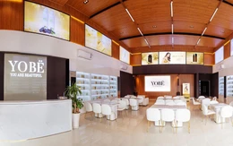 Yobe - 5 năm một chặng đường