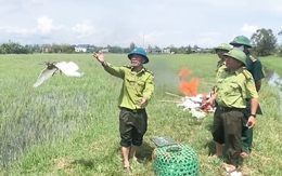 Thu gom tiêu hủy hàng ngàn bẫy chim, nhiều con cò trắng được thả về tự nhiên